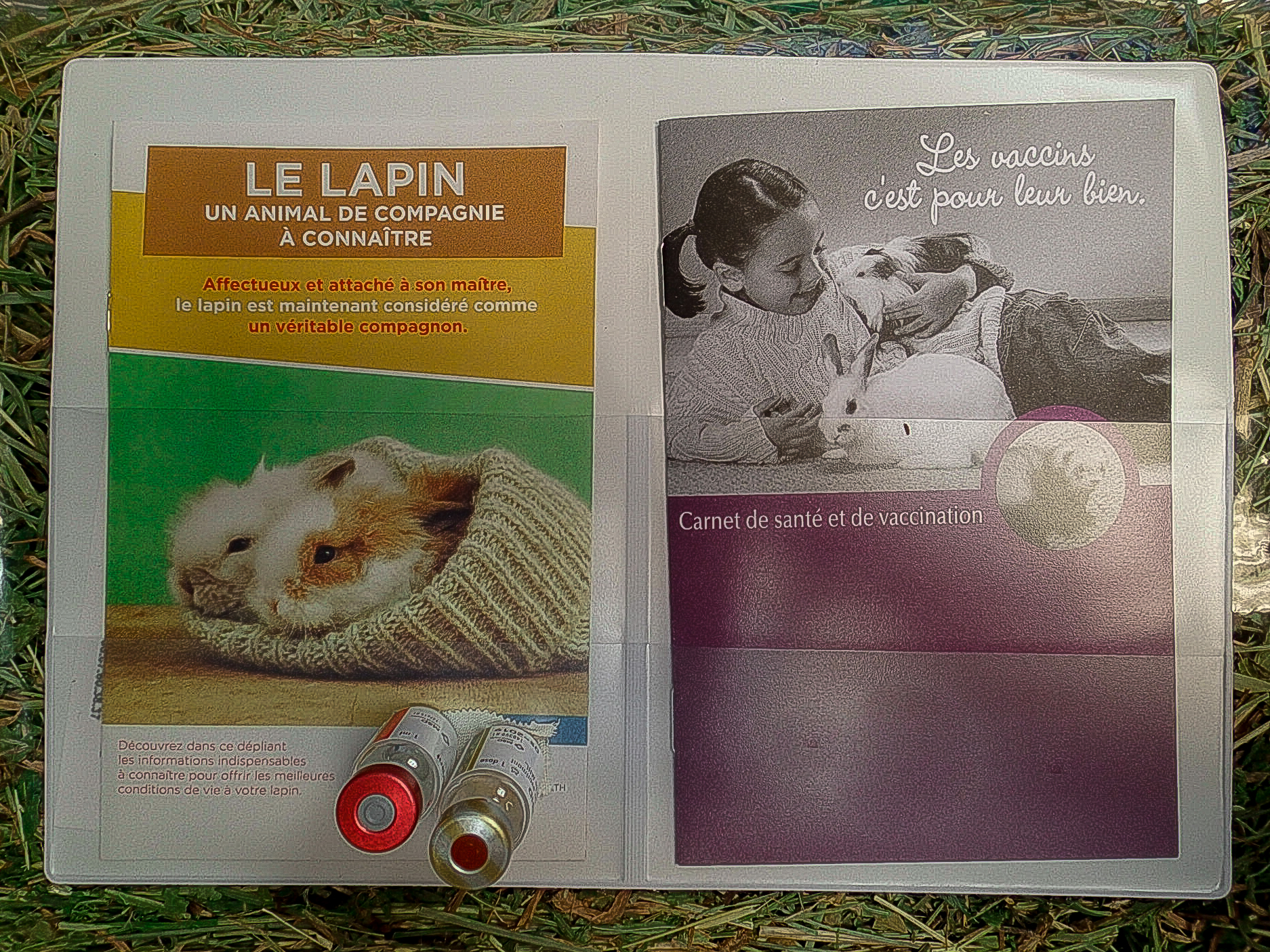 Carnet de vaccination